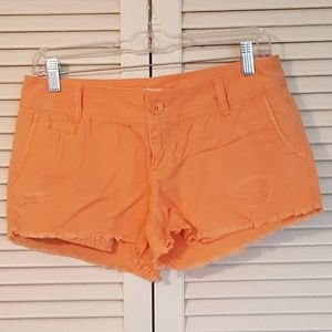 NWOT Orange Shorts